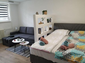 Apartman Dejna